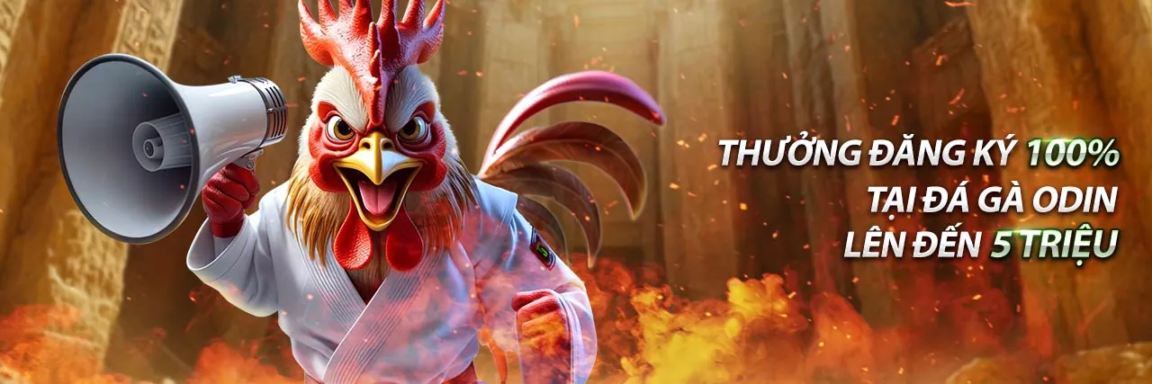 Hình ảnh hỗ trợ khách hàng mm8