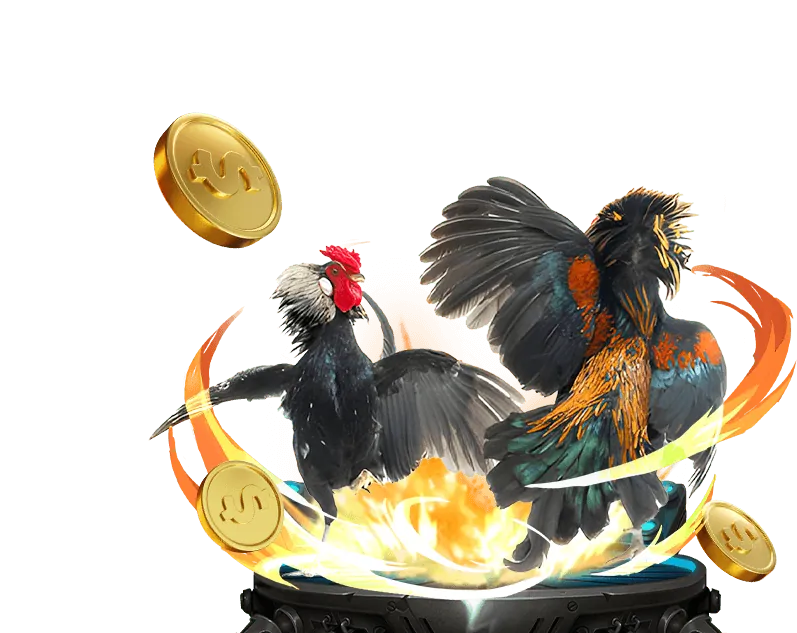 Tin tức Casino mm8